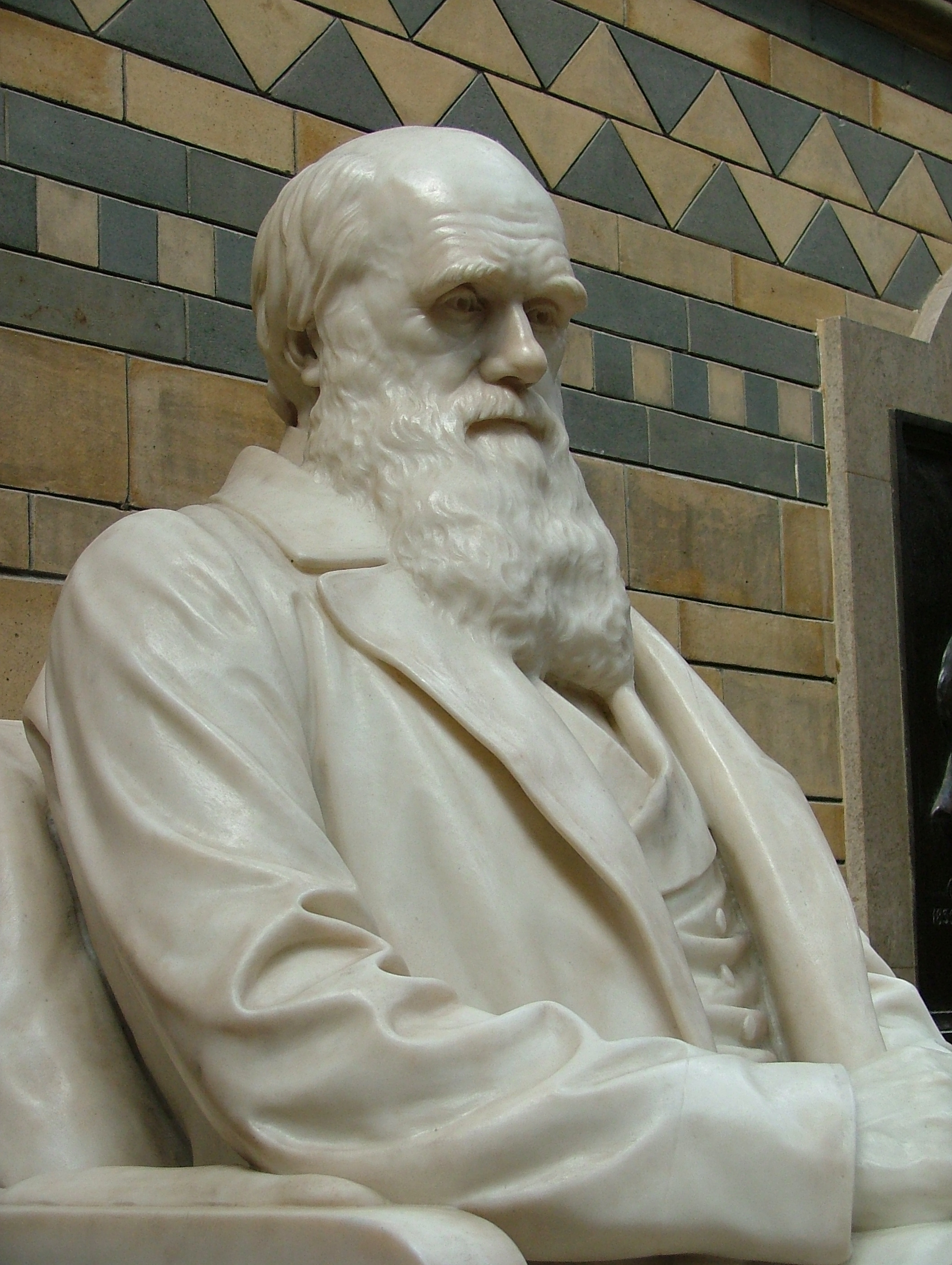 Darwin statue in the NHM