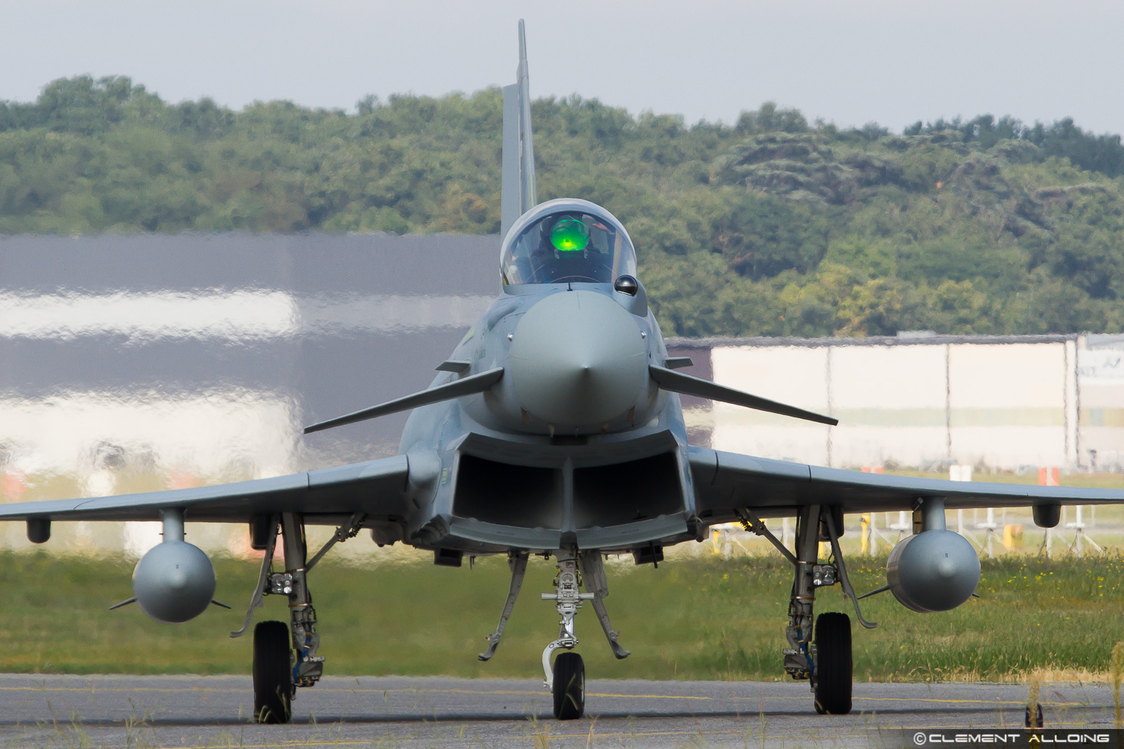 Saudi Arabia Typhoon combat aircraft, viewed from the front