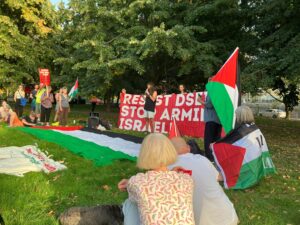 Group of people round a speaker in a park. Several holding Palestine flags. Large Palestine flag on ground in front of speaker. Banner behind speaker saying "Resist DSEI. Stop arming Israel".